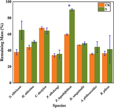 Invasive Plants and Species Richness Impact Litter Decomposition in Riparian Zones